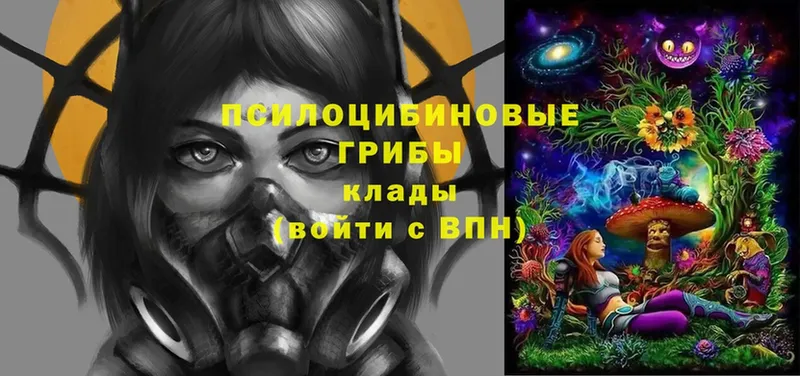 Галлюциногенные грибы мицелий Ковылкино